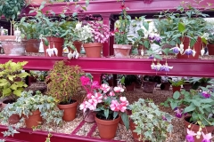 Dumfries House, June 2025 (c) Maria Wilson