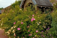 Dumfries House, June 2025 (c) Maria Wilson