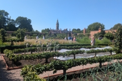 PXL_20250713_094742186