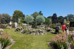 PXL_20250713_110321502