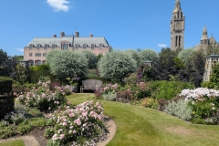 PXL_20250713_110606404