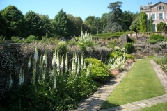 Foxgloves day trip to Staffordshire (c) Colin Hurrell